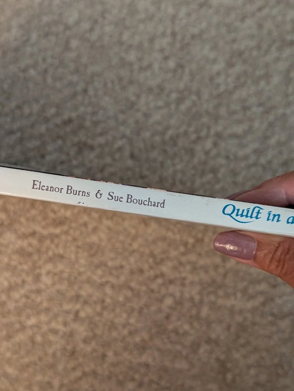 Underground Railroad Sampler by Eleanor Burns, Quilt In A Day, 2003